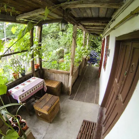 Casa Zmeura Holiday home